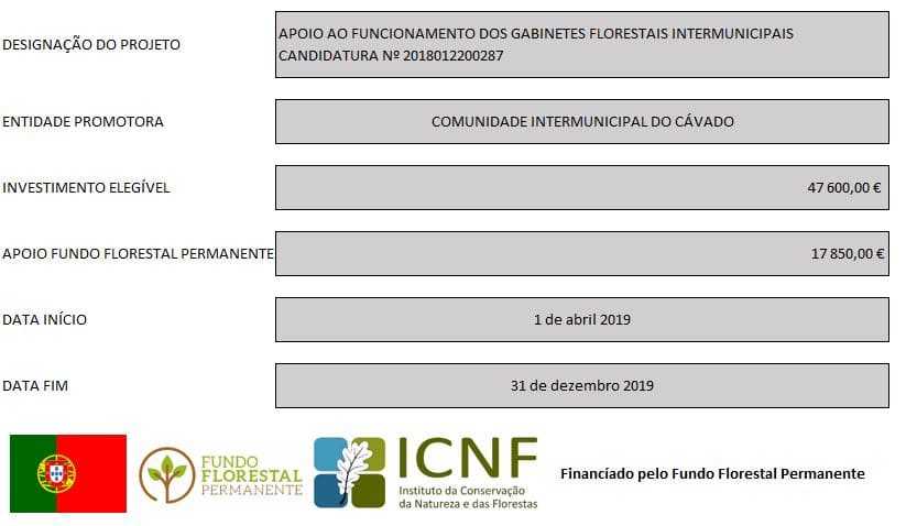 gtfi cavado